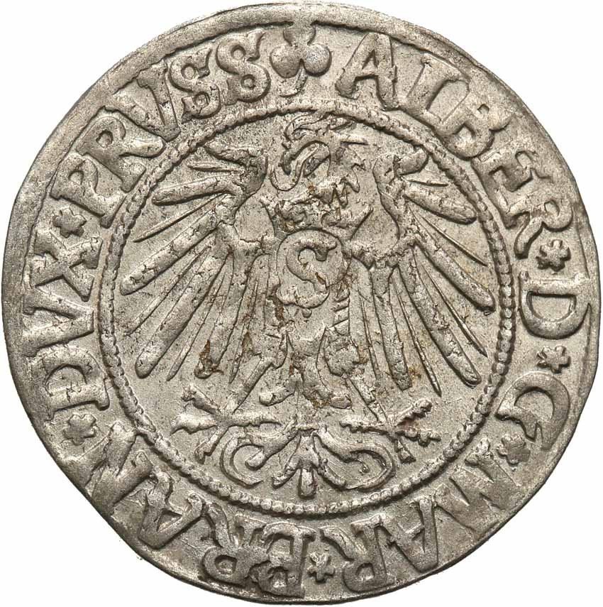 Prusy Książęce. Albrecht grosz 1541 Królewiec